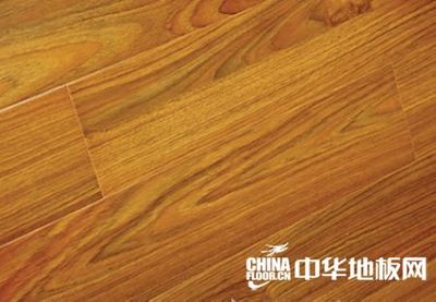 歐飾家地板-強化地板系列-柚木OQ810-A