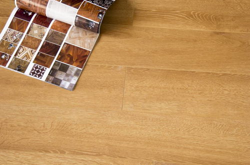 裝修最大變化之一 強化地板的普及與升級